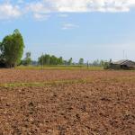 required plot on Warangal road