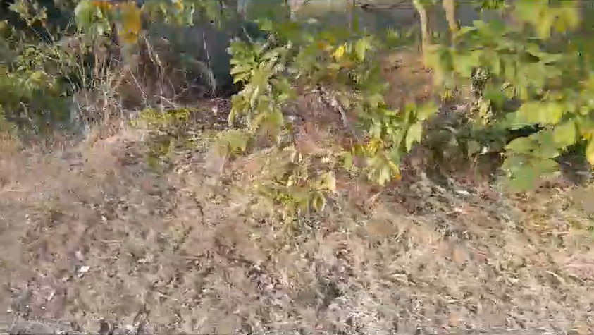 8 acre agriculture land